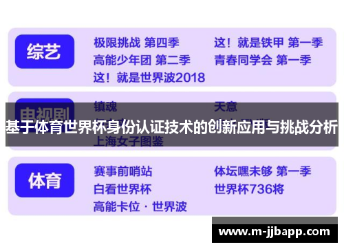 基于体育世界杯身份认证技术的创新应用与挑战分析