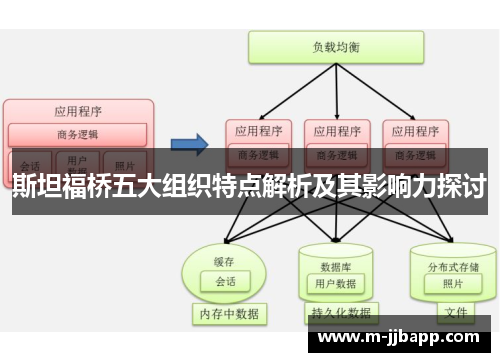 斯坦福桥五大组织特点解析及其影响力探讨